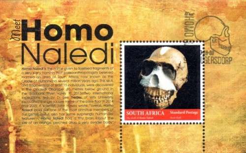 South Africa - 2017 Homo Naledi MS Used