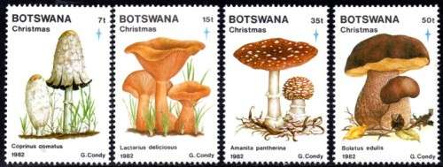 Botswana - 1982 Christmas Fungi Set MNH SG 533-536