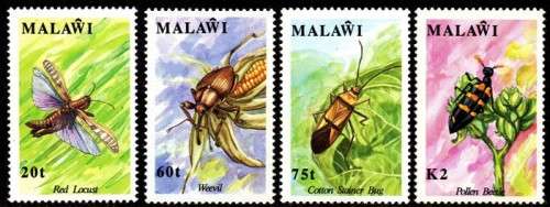 Malawi - 1991 Insects Set MNH SG 868-871