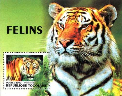Togo - 2000 Tigers MS MNH