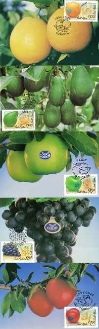 South Africa - 1994 Export Fruit Maxi Card Set