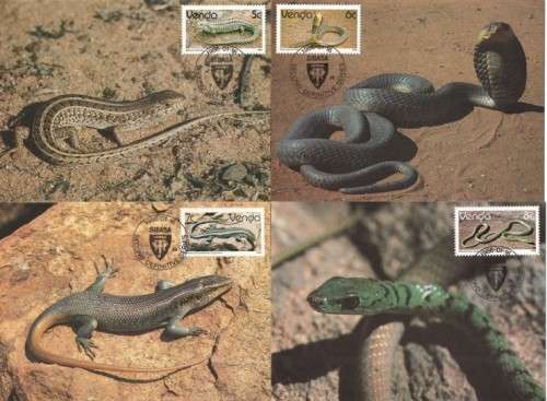 Venda - 1990 Reptiles Maxi Card Set