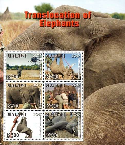Malawi - 2017 Elephant Translocation Project Sheetlet MNH