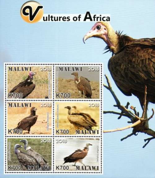 Malawi - 2018 Vultures Sheetlet MNH