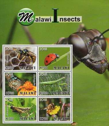 Malawi - 2018 Insects Sheetlet MNH