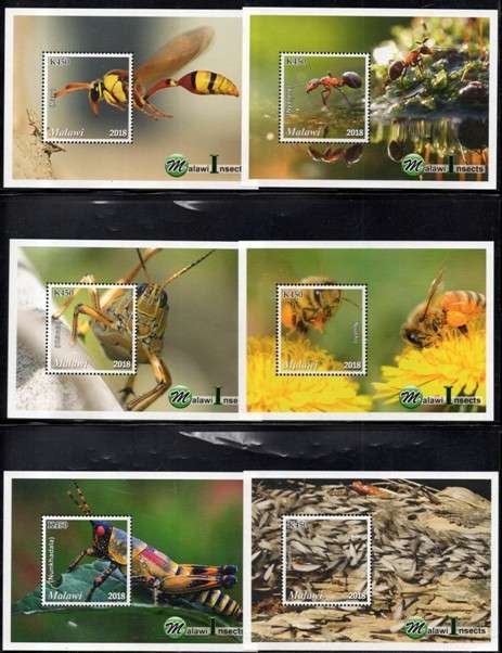Malawi - 2018 Insects MS Set MNH