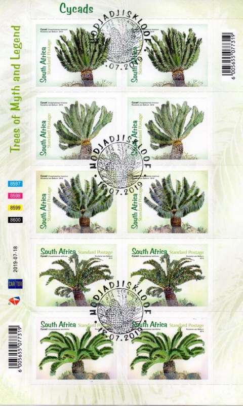 South Africa - 2019 Cancelled Year Pack