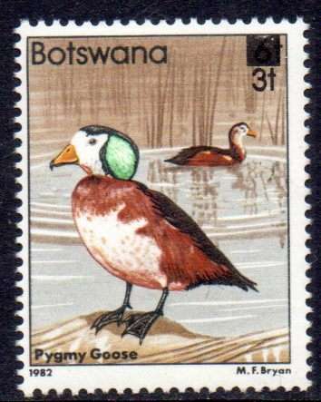 Botswana - 1987 Birds Surcharges 3t MNH SG 612