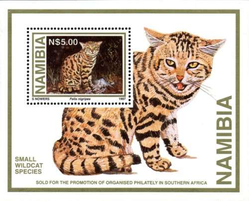 Namibia - 1997 Small Wild Cats Philatelic Foundation MS MNH SACC 182a