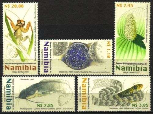 Namibia - 2003 Biological Discoveries Set MNH SACC 419-423