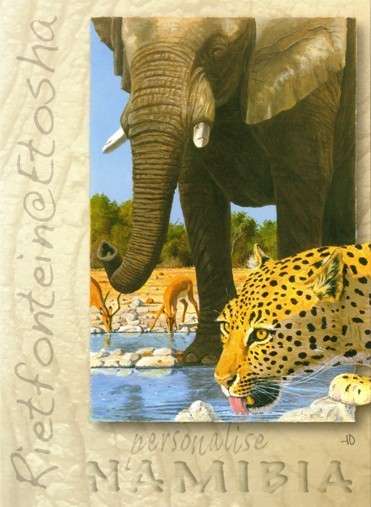 Namibia - 2015 Etosha Postcard Cancelled
