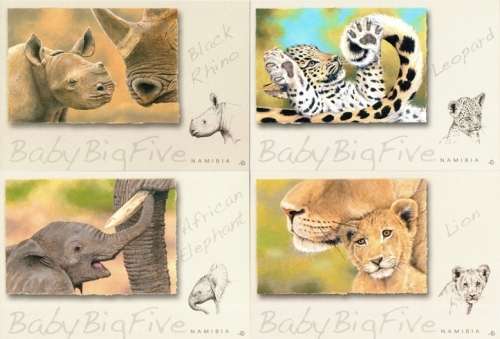 Namibia - 2015 Baby Big Five Postcard Set Cancelled