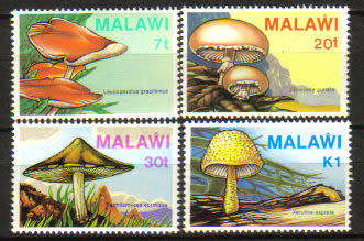 Malawi - 1985 Fungi Set MNH SG 720-723