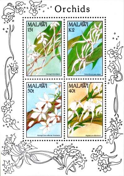 Malawi - 1990 Orchids MS MNH SG 852