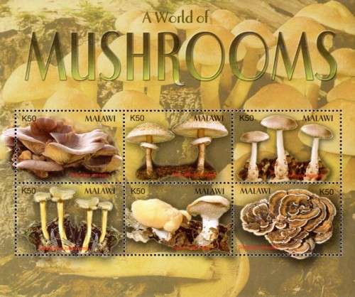 Malawi - 2003 Mushrooms MS MNH SG 1020