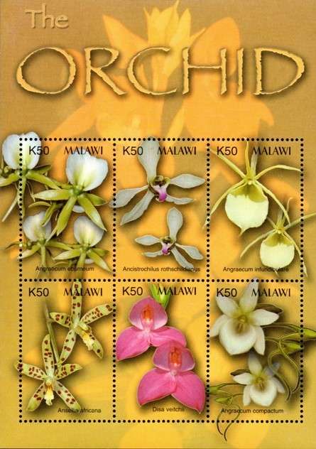Malawi - 2003 Orchids of Africa MS MNH SG 1021