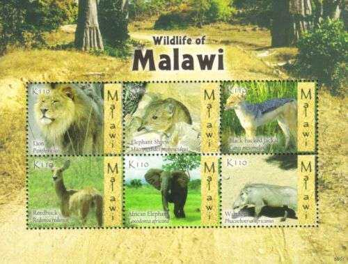 Malawi - 2009 Wildlife Sheetlet MNH SG 1039