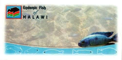Malawi - 2016 Endemic Fish FDC Unserviced