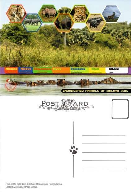 Malawi - 2016 Endangered Animals Postcard