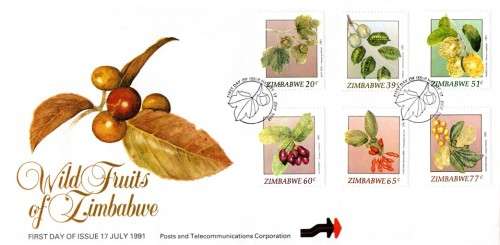 Zimbabwe - 1991 Wild Fruits FDC SG 810-815