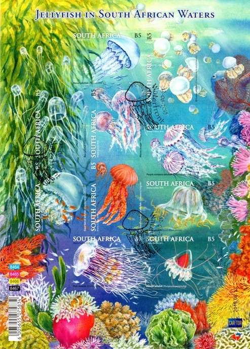 South Africa - 2015 Used Year Pack