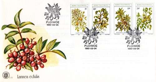 Bophuthatswana - 1980 Edible Wild Fruits FDC 1.12