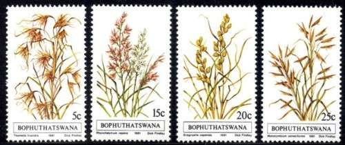 Bophuthatswana - 1981 Indigenous Grasses (1st series) Set MNH SACC 80-83