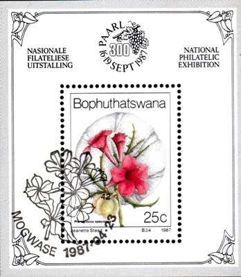 Bophuthatswana - 1987 Philatelic Foundation MS Flowers Used SACC 188a