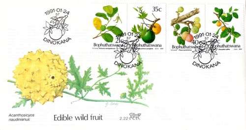 Bophuthatswana - 1991 Edible Wild Fruits FDC 2.22