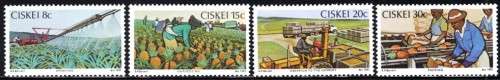Ciskei - 1982 Pineapple Industry Set MNH SACC 26-29