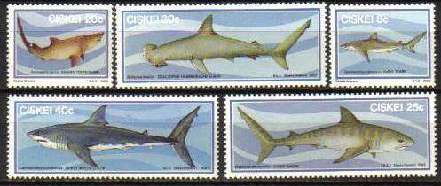 Ciskei - 1983 Sharks Set MNH SACC 38-42