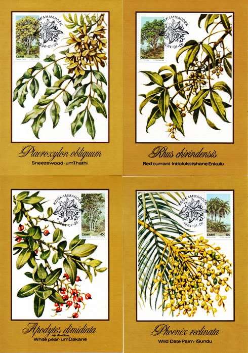 Ciskei - 1984 Indigenous Trees (2nd series) Maxi Card Set