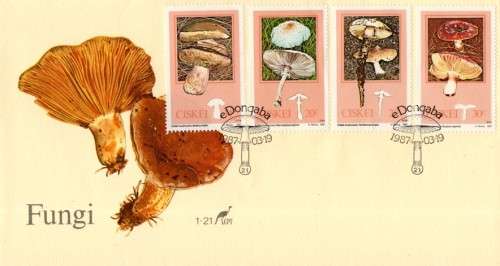 Ciskei - 1987 Edible Mushrooms FDC 1.21
