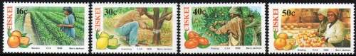Ciskei - 1988 Citrus Farming Set MNH SACC 141-144