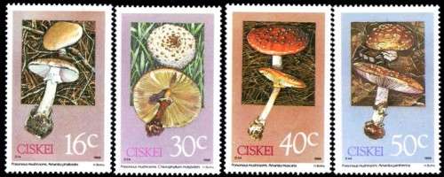 Ciskei - 1988 Poisonous Fungi Set MNH SACC 145-148