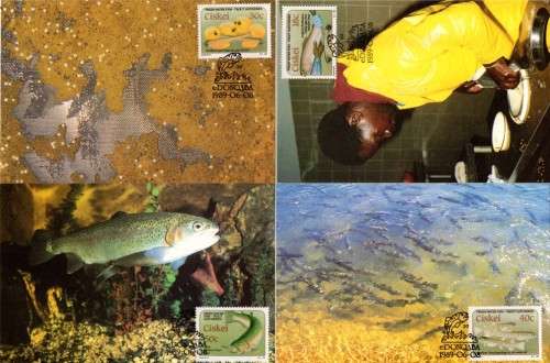 Ciskei - 1989 Trout Hatcheries Maxi Card Set