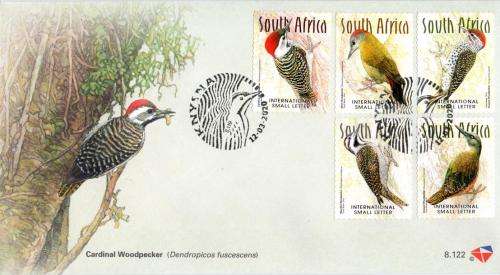 South Africa - 2020 Woodpeckers FDC 8.122