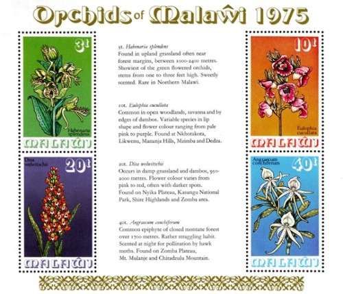 Malawi - 1975 Orchids MS MNH SG 495