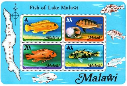 Malawi - 1977 Fish of Lake Malawi MS with wmk MNH SG 556B
