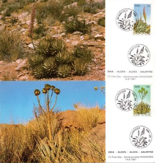 SWA - 1981 Aloes Maxi Card Set