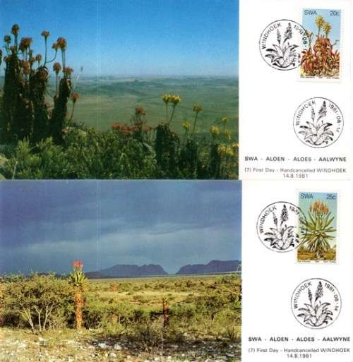 SWA - 1981 Aloes Maxi Card Set