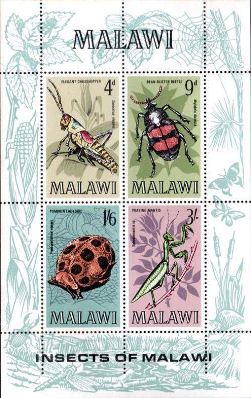 Malawi - 1970 Insects MS MNH SG 349