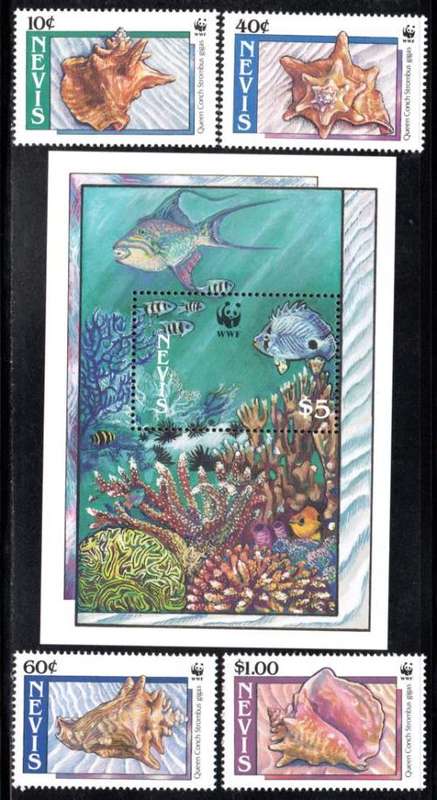 Nevis - 1990 WWF Queen Conch Set & MS MNH SG 531-535