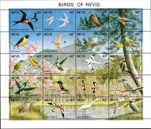 Nevis - 1990 Island Birds Sheetlet & MS MNH SG 601-620