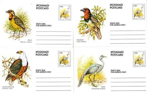 Ciskei - 1981 Birds 5c Postcard Set Mint