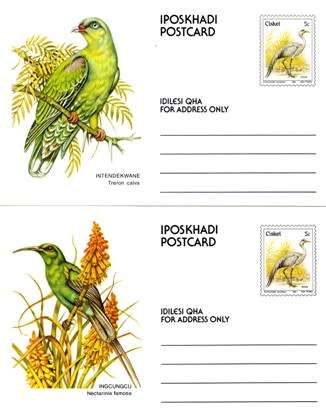 Ciskei - 1981 Birds 5c Postcard Set Mint