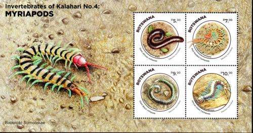 Botswana - 2022 Myriapods MS MNH