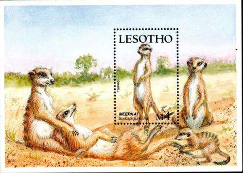 Lesotho - 1988 Small Mammals Set & MS MNH SG 824-828