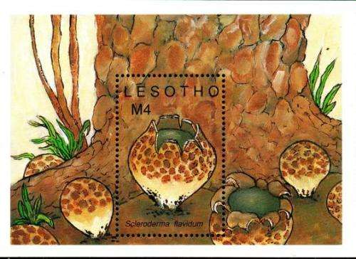 Lesotho - 1989 Fungi MS MNH SG 904