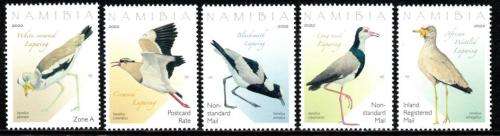 Namibia - 2022 Lapwings Set MNH